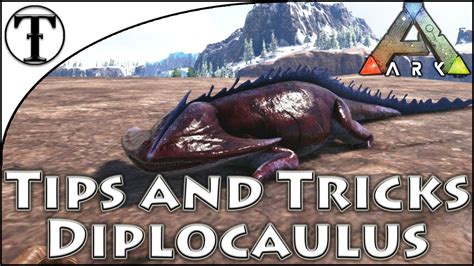 ark diplocaulus taming|ark diplocaulus taming guide.